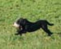 Payton training